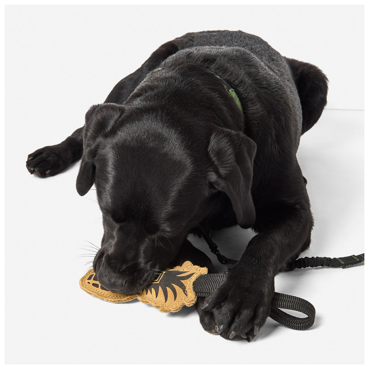 5.11 Mission Ready Grenadier Dog Tug Toy