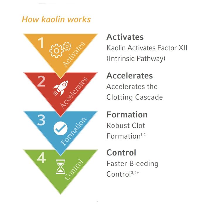 QuikClot EMS Haemostatic Dressing (10cm x 10cm) 5