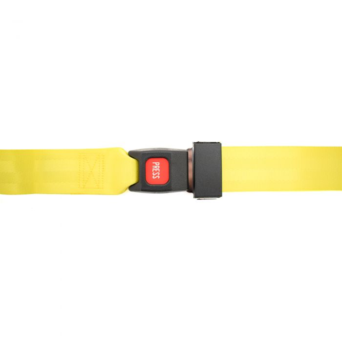 Loop End Restraint Strap with Seat Belt Buckle