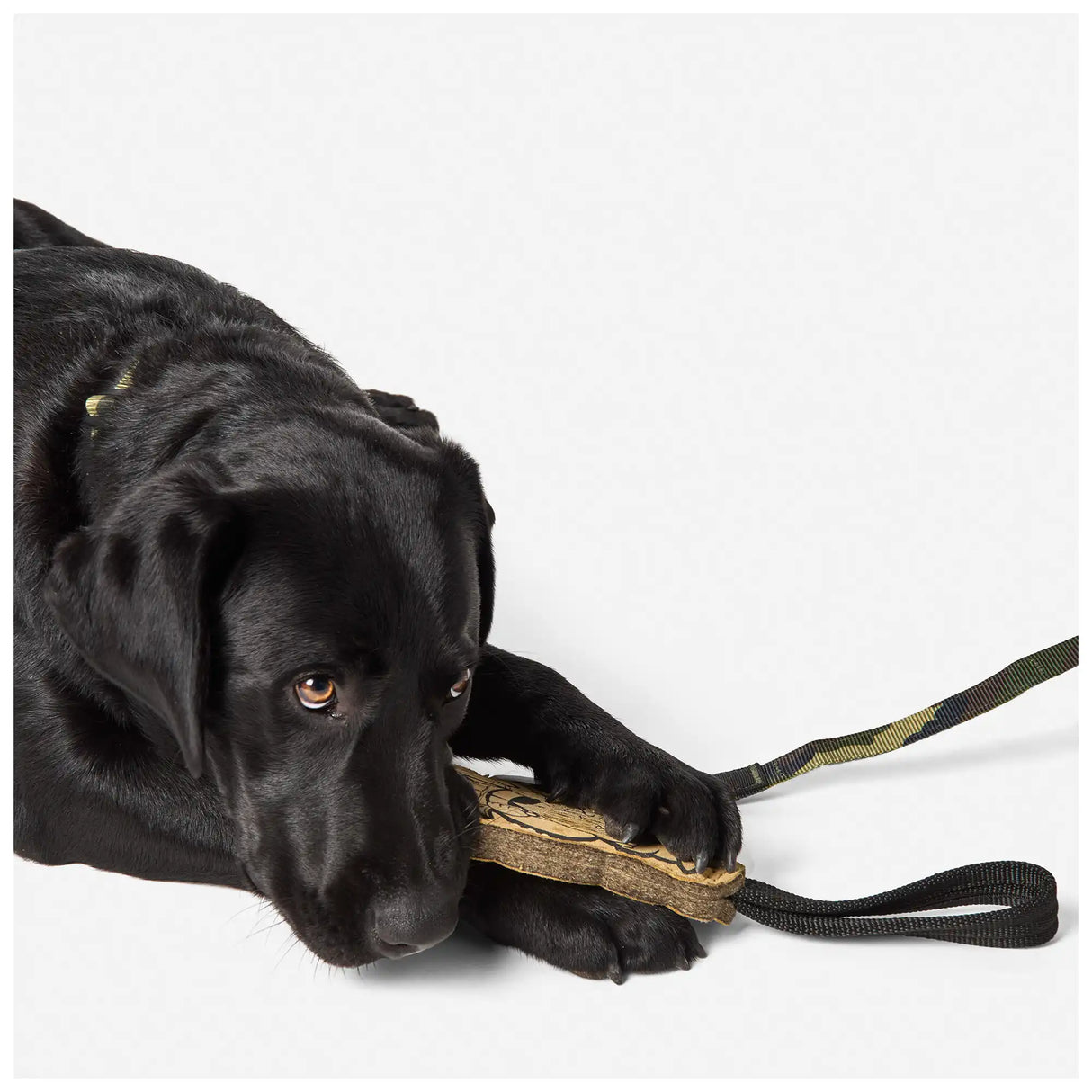 5.11 Mission Ready Gnome Dog Tug Toy