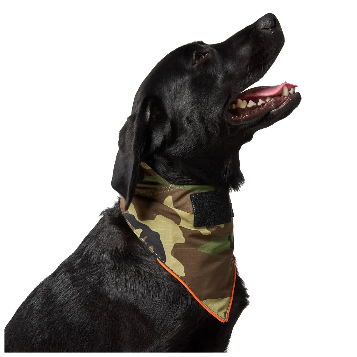 5.11 Mission Ready Dog Bandana