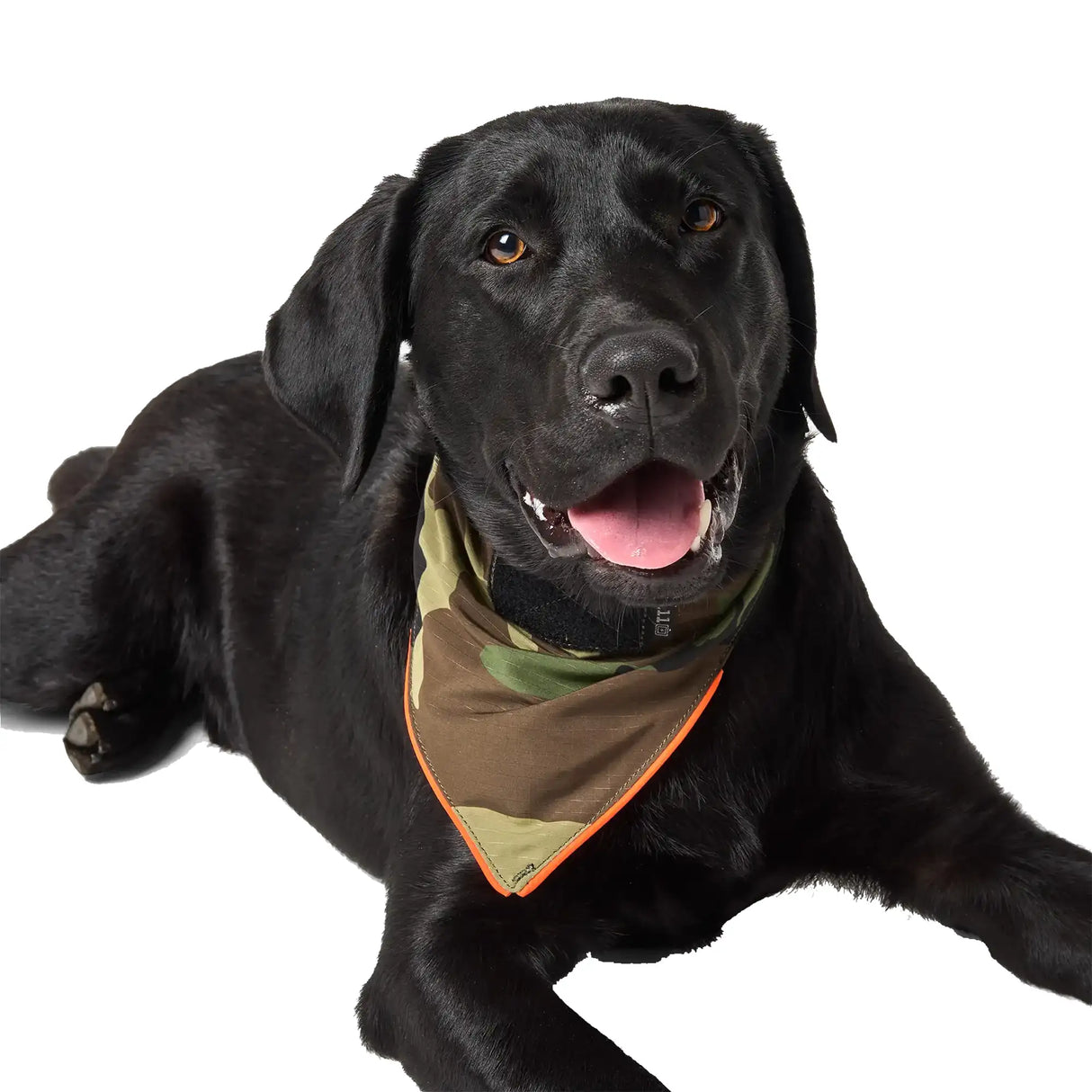 5.11 Mission Ready Dog Bandana