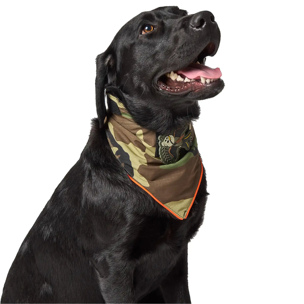 5.11 Mission Ready Dog Bandana