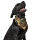 5.11 Mission Ready Dog Bandana