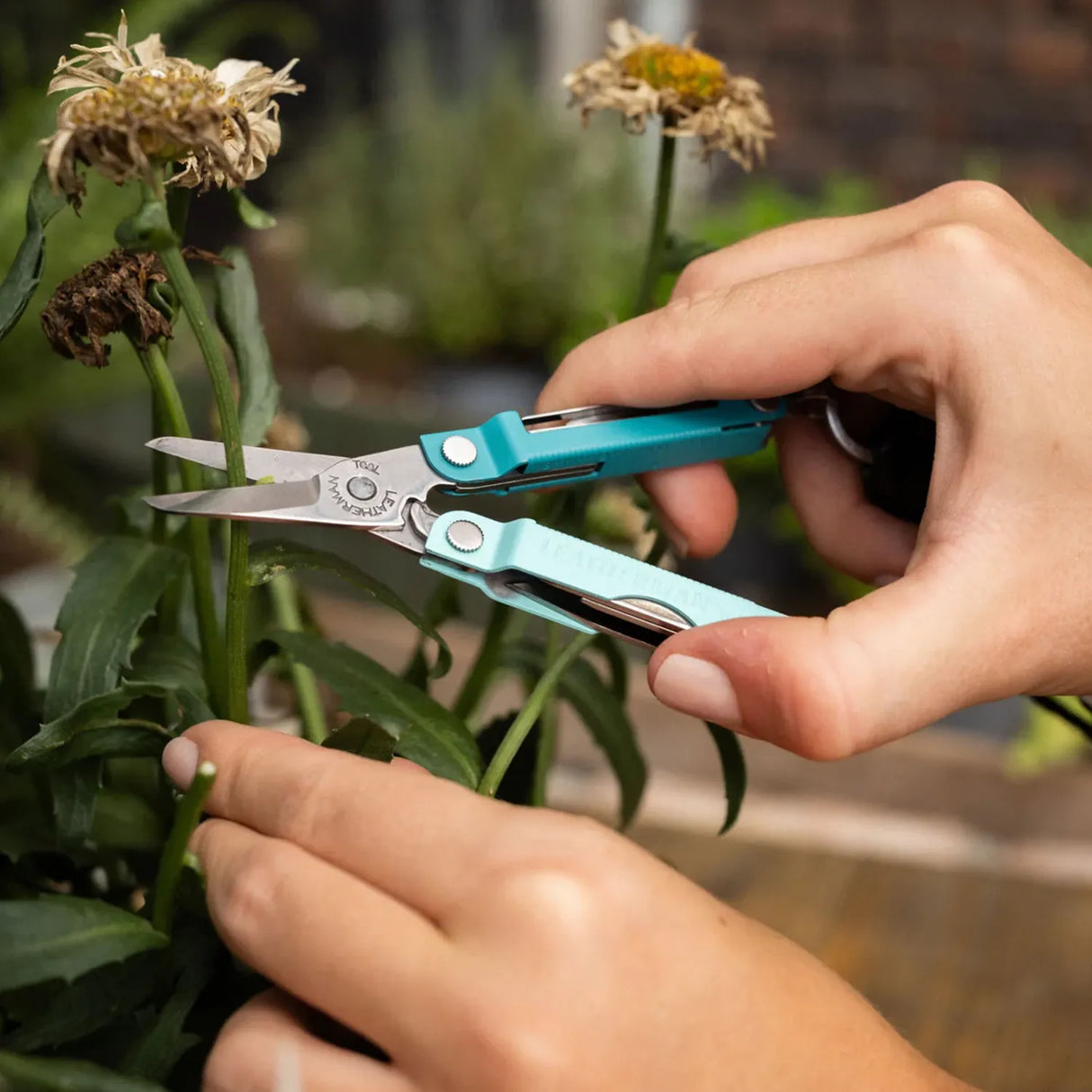 Leatherman Micra Compact Keyring Multi-Tool